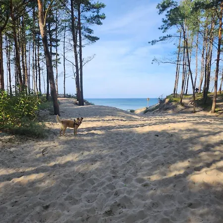 Letniskowe U Zuni *